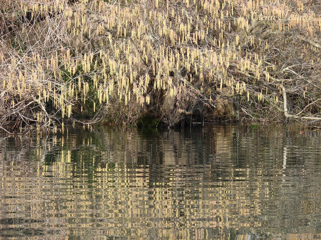 Lago Sabatino