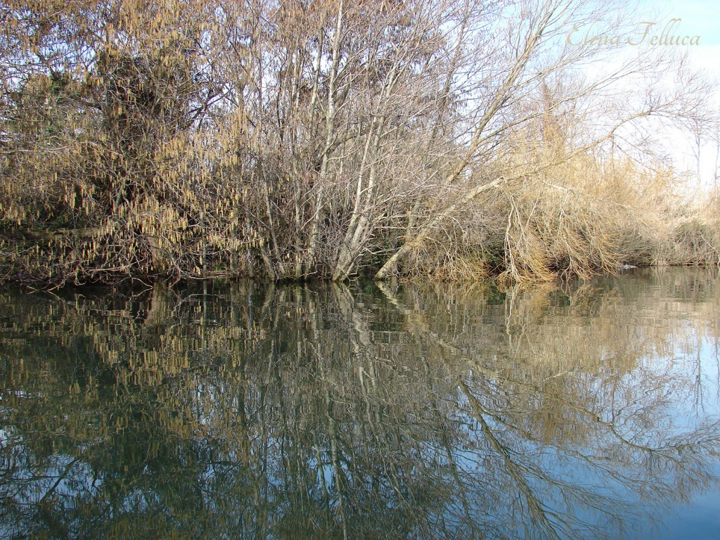 Lago Sabatino