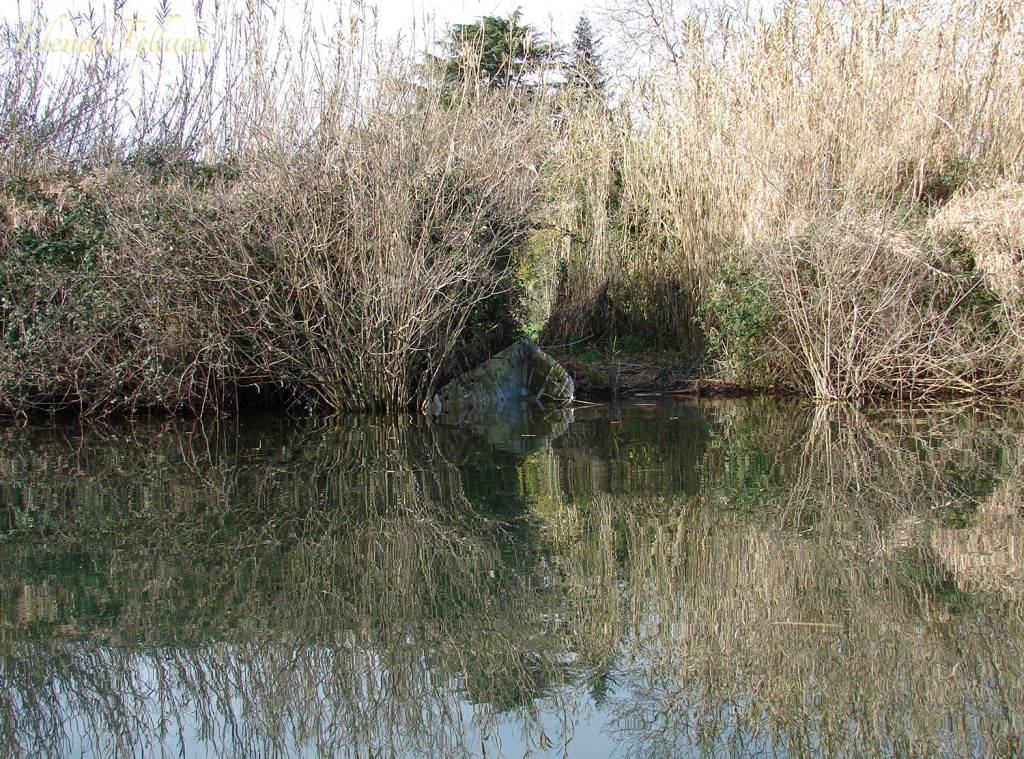 Lago Sabatino