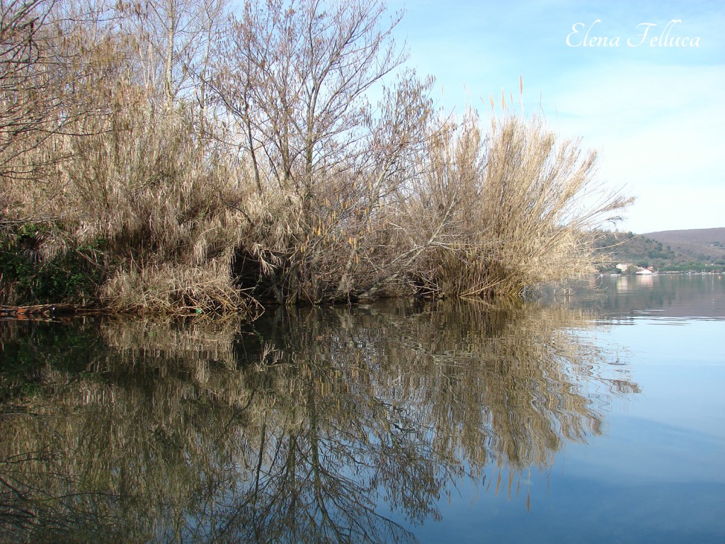 Lago Sabatino