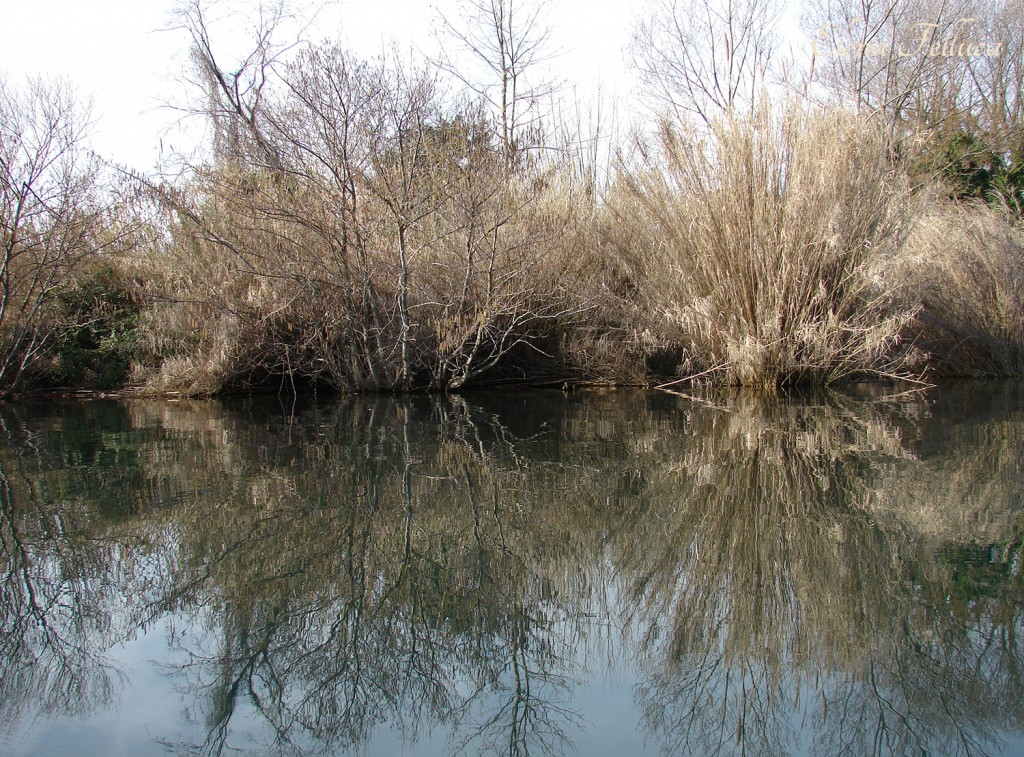 Lago Sabatino