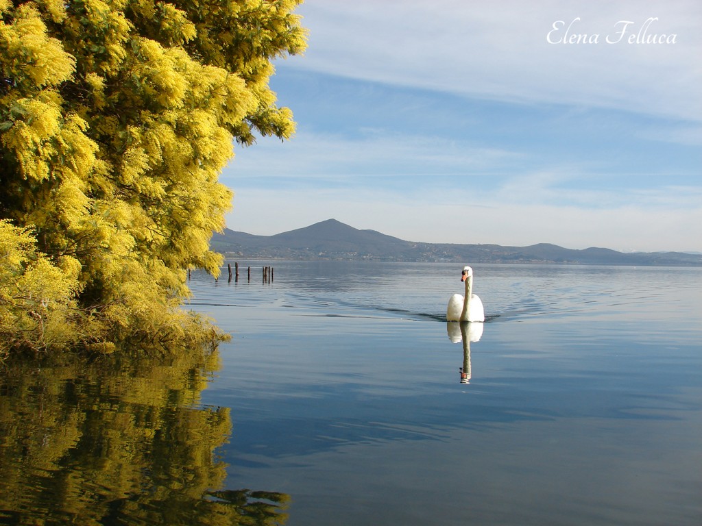 Lago Sabatino