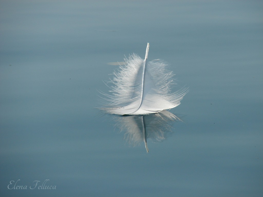 Lago Sabatino